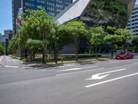 a large tree that is near a car on the road and buildings in the background