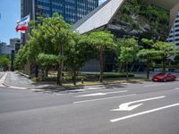 a large tree that is near a car on the road and buildings in the background