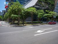 a large tree that is near a car on the road and buildings in the background