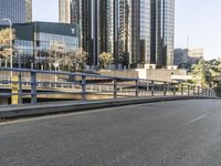 Urban Architecture: A Cityscape Skyline View