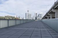 the walkway has been opened to see a view of the city skyline as well as modern buildings