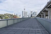 the walkway has been opened to see a view of the city skyline as well as modern buildings
