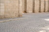 Urban Architecture: Cobble Stone Street