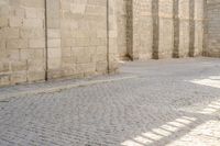 Urban Architecture: Cobble Stone Street