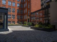 several plants sit in decorative concrete planters along the sidewalk of a building that is very modern