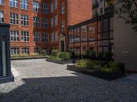 several plants sit in decorative concrete planters along the sidewalk of a building that is very modern