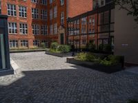 several plants sit in decorative concrete planters along the sidewalk of a building that is very modern