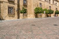 a person walking on a brick road in front of a building with several green trees