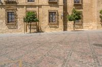 a person walking on a brick road in front of a building with several green trees