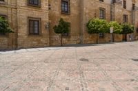 a person walking on a brick road in front of a building with several green trees