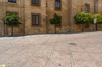 a person walking on a brick road in front of a building with several green trees