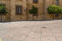 a person walking on a brick road in front of a building with several green trees