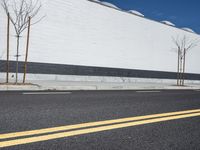 a row of tree in front of a white wall and black strip on the street