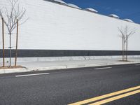 a row of tree in front of a white wall and black strip on the street