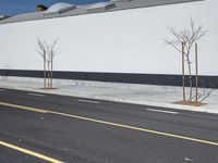 a row of tree in front of a white wall and black strip on the street