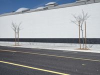 a row of tree in front of a white wall and black strip on the street