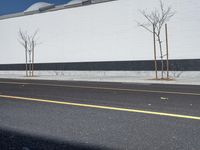 a row of tree in front of a white wall and black strip on the street