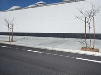 a row of tree in front of a white wall and black strip on the street