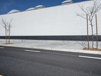 a row of tree in front of a white wall and black strip on the street