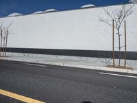 a row of tree in front of a white wall and black strip on the street