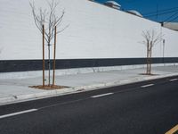 a row of tree in front of a white wall and black strip on the street