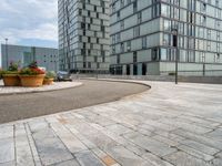 a road next to the building next to each other with potted plants on either side