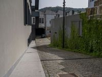 Urban Architecture in Porto Under a Clear Sky