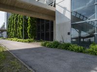 a building with glass walls is shown through the grass near the sidewalk and stairs to it