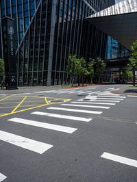 a street with cross walk lines at an intersection in the city, at a few buildings