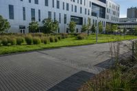 a walkway with shrubs on both sides of the street next to the large building behind