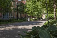 Urban Architecture in Toronto's Residential Area