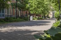 Urban Architecture in Toronto's Residential Area