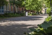 Urban Architecture in Toronto's Residential Area