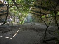 Urban Art District: Graffiti Warehouse Berlin