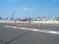 Urban Asia: Highways of Tokyo, Japan