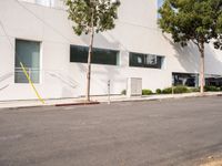 Urban Asphalt Road: A Glimpse of Los Angeles, California