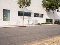 Urban Asphalt Road: A Glimpse of Los Angeles, California