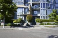 the paved street is lined with trees and plants and shrubs, including bushes, and flowers