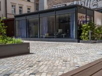 several plants sit in decorative concrete planters along the sidewalk of a building that is very modern