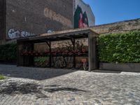 a green shrub near a gray building and a brick walkway with a bicycle rack in it