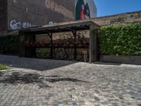 a green shrub near a gray building and a brick walkway with a bicycle rack in it