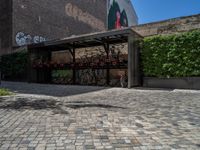 a green shrub near a gray building and a brick walkway with a bicycle rack in it