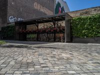 a green shrub near a gray building and a brick walkway with a bicycle rack in it