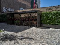 a green shrub near a gray building and a brick walkway with a bicycle rack in it