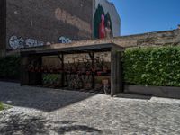 a green shrub near a gray building and a brick walkway with a bicycle rack in it