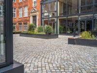 an empty parking lot with plants in the ground and on the side of the building, there is an enclosed area and windows