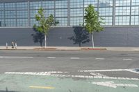 there is a bike path painted on the sidewalk of this building, and two trees are visible