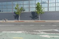 there is a bike path painted on the sidewalk of this building, and two trees are visible