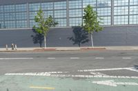 there is a bike path painted on the sidewalk of this building, and two trees are visible