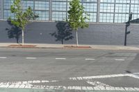 there is a bike path painted on the sidewalk of this building, and two trees are visible